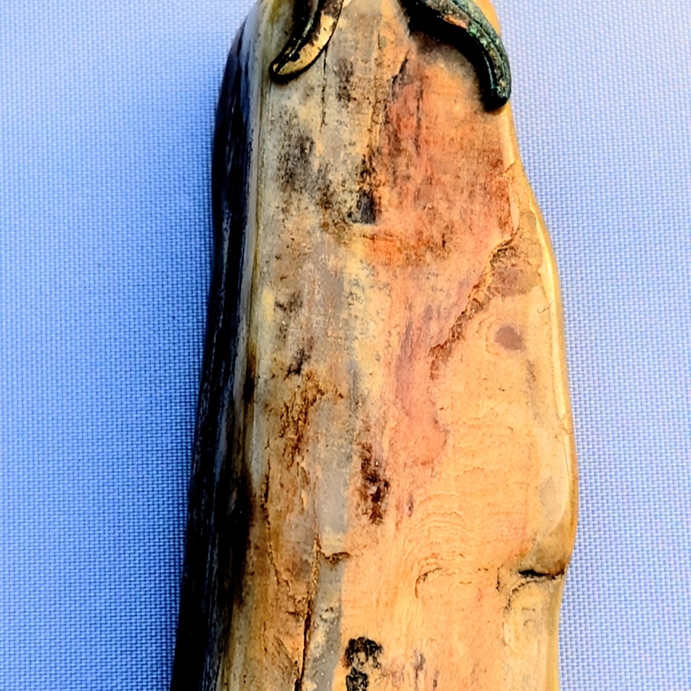 Vintage Arizona Petrified Wood Pendant 2 inches  long- Unisex fossil pendant